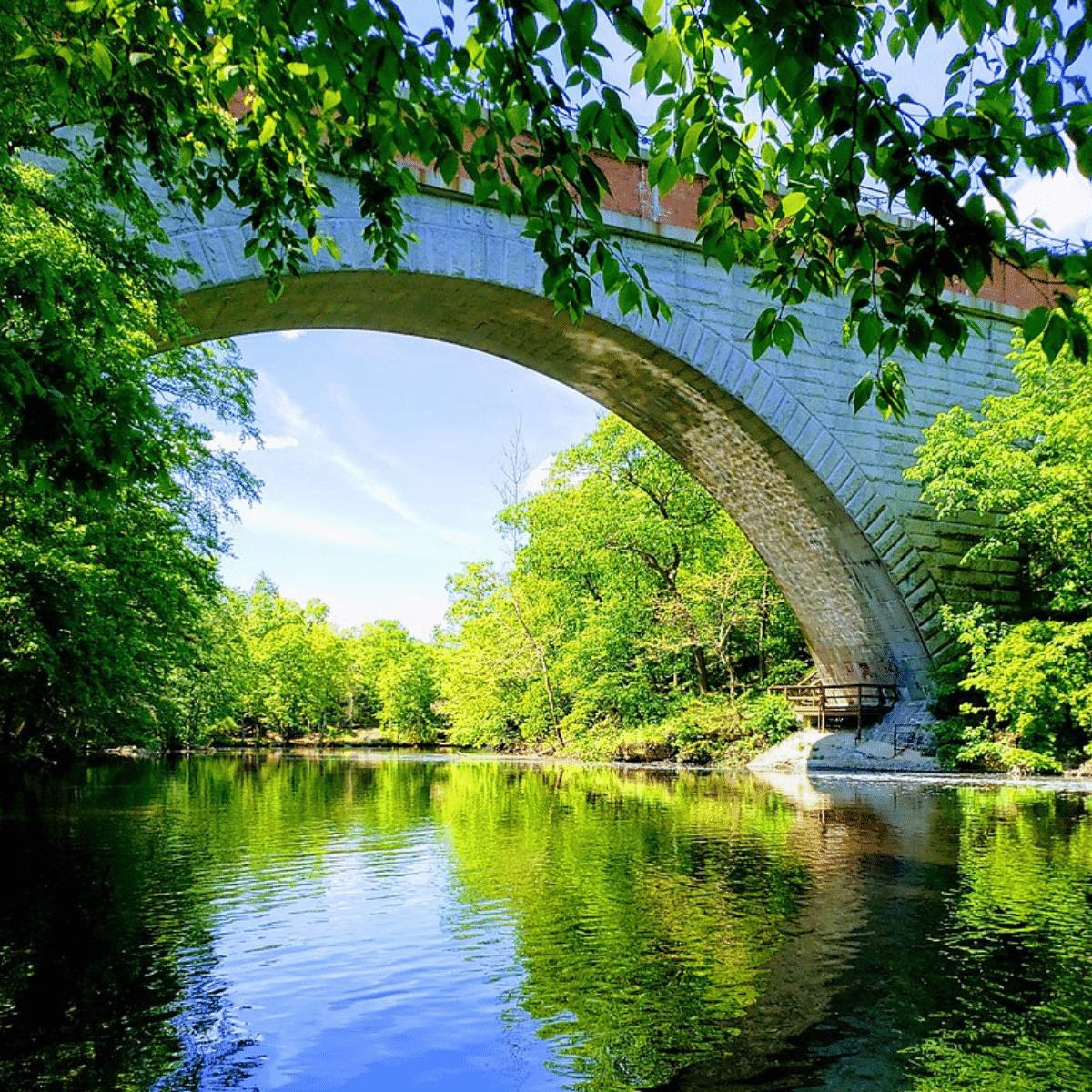 Cleaning in Newton, MA