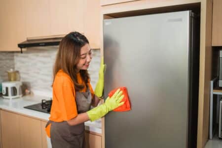 Best Cleaning Product for Refrigerator